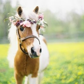 New!
