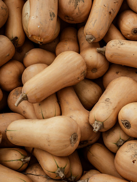 Butternut Squash Soup