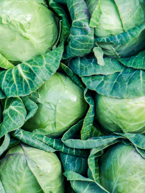 Cabbage Roll