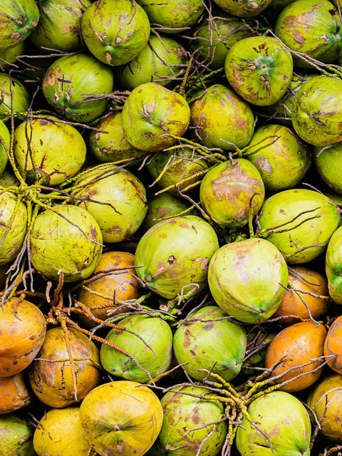 Coconut Water