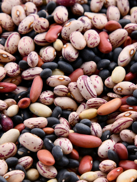 Bean Salad