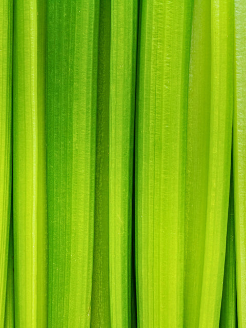 Celery Juice