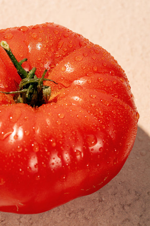 Watermelon Gazpacho